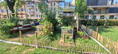 The image depicts a community garden located in the Andritz district of Graz, Austria. The garden features several raised planting beds constructed from wood, some of which are painted. In the foreground, a short, rustic wooden fence encloses a grassy area with a white protective barrier running along its base. Various plants, including sunflowers, are visible in the garden beds, some of which appear to be mature and bearing flowers. A birdhouse is mounted on a pole. In the background, modern residential buildings with balconies and windows overlook the garden. The sky is clear and the scene is bathed in sunlight. There are no people visible in the image.