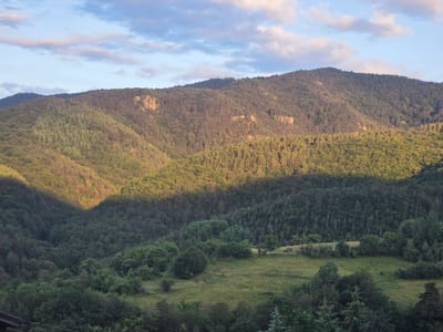 This is a horizontal, medium-shot landscape photograph taken in Sini Vrah, Bulgaria, likely during the late afternoon or early evening. The scene features rolling, tree-covered mountains and a grassy meadow. The sunlight is casting a dramatic shadow across the mountainside, highlighting the textures of the dense forest. The sky above is a soft blue with scattered, wispy clouds tinged with pink and orange from the setting sun.

The dominant subjects are the natural landscape elements: the mountain range, dense coniferous and deciduous forests, and a cleared meadow with tall grass. There are no visible people or man-made objects in the foreground or midground, except for a hint of what might be a roofline or railing at the bottom left edge of the frame. The overall atmosphere is serene and peaceful, evoking a sense of natural beauty and tranquility. The interplay of light and shadow creates a dynamic visual contrast, adding depth and drama to the scene. The vegetation appears lush and green, suggesting a temperate climate during a warmer season. No text is visible in the image.