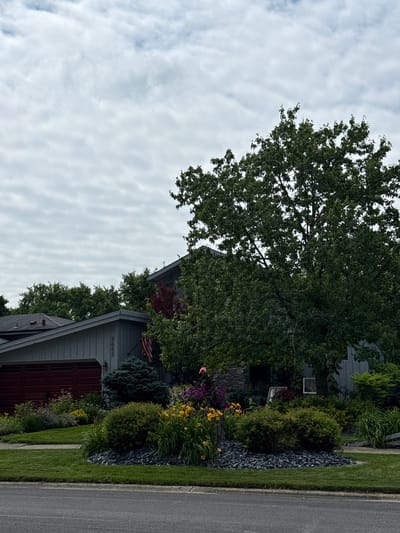 The image depicts a residential property located at 2653 in Woodridge, United States of America. The scene is characterized by a two-story house with a grey exterior and a prominent red garage door. The house is partially obscured by a large, mature tree with dense green foliage. In front of the house, a well-maintained garden features a variety of flowering plants in shades of yellow, pink, and purple, interspersed with green shrubs and landscaping rocks. An American flag is visible on a flagpole mounted to the front of the house. The sky above is overcast with grey clouds. The foreground shows a paved road and a manicured lawn.