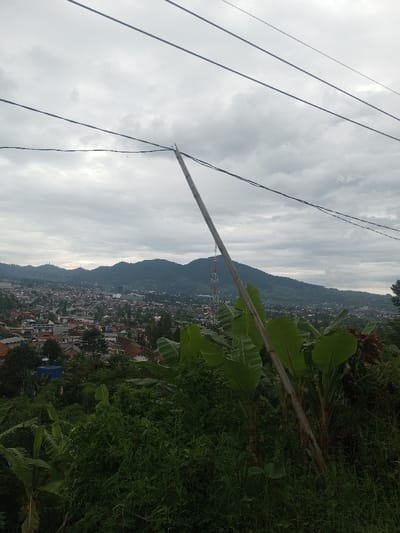 The image depicts an elevated, panoramic view of an urban area, identified as Bhupalpally, India, under an overcast sky with grey clouds. The foreground consists of dense green foliage, including several large-leafed plants resembling banana trees. A long, slender, light-colored wooden pole or bamboo stick extends diagonally from the lower right to the upper center, positioned in front of and appearing to interact with multiple dark power lines spanning horizontally across the upper third of the frame. The midground reveals a sprawling cityscape with numerous buildings, predominantly residential structures with varied roof colors, including red-brown and grey. In the background, a range of green, forested mountains rises, partially obscuring the horizon. A prominent red and white cellular tower is visible on a hillside within the distant mountainous terrain. No people, discernible actions, or interactions are present in the scene.