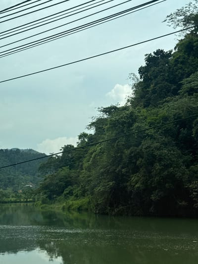 The image captures a landscape scene, possibly in or around Hà Giang 2 Ward, Vietnam, considering the mountainous terrain and lush vegetation typical of the region. The view is oriented diagonally, with the left side of the frame dominated by a pale sky traversed by several parallel black power lines.
To the right, a dense, green forest covers a hillside, its vegetation reflecting in a body of water that occupies the rightmost edge of the frame. The water surface shows some reflection and ripple effects. The top part of a mountain can be seen behind the trees.
The image suggests a rural or semi-urban setting where natural elements are prominent alongside infrastructural features like power lines.