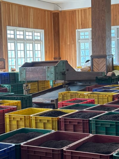 This image depicts the interior of a tea processing facility in Ramboda, Sri Lanka. The scene is dominated by industrial machinery and numerous crates of processed tea leaves.
In the mid-ground, a large, dark metal tea sorting or processing machine is centrally positioned. It features an elevated hopper with greenish-blue sides and a dark brown front panel, situated above a wide, sloped, ribbed metal surface that functions as a conveyor or sorting bed. Various mechanical components are visible around the machine.
The background consists of light-colored wooden paneled walls, extending upwards from what appears to be a mid-height line. Multiple large, white-framed, multi-paned windows are visible on both the left and right sides, allowing natural light into the space. Two dark wooden pillars with decorative bases and tops are also present, blending with the wall paneling. Indistinct light-colored objects, possibly covered items or bags, are situated on a surface behind the machinery near the right-side window.
The foreground and mid-ground are filled with an array of rectangular plastic crates, arranged in rows and partially stacked. These crates are multi-colored, including yellow, dark green, red, dark blue, and maroon/brown. Each visible crate is filled with a dark, granular substance consistent with processed tea leaves, mounded in the center of most containers. No individuals are visible within the scene.