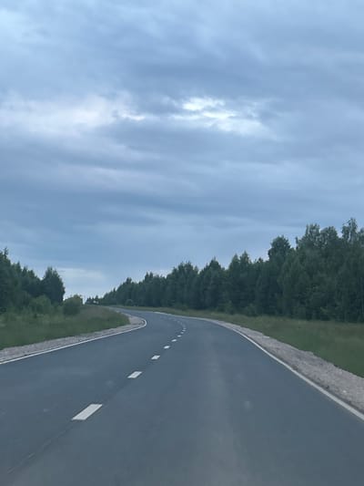 A two-lane asphalt road curves to the right in the foreground, bordered by a gravel shoulder and green grass. White dashed lines mark the lanes. The road is flanked by dense evergreen trees on both sides, creating a tunnel-like effect. The sky is overcast with dark gray clouds, suggesting a gloomy or rainy day. There are no people or vehicles visible in the image. The scene appears to be a rural or undeveloped area, possibly on the outskirts of Новая Казмаска, Russia, given the prevalence of trees and the road's condition.