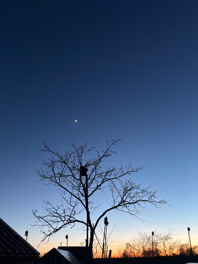 The image, taken in Shibanikha, Russia, depicts a tranquil sky scene during either twilight or predawn hours. The vast sky dominates the frame, showcasing a striking gradient from deep indigo blue at the top to a lighter blue that brightens into warm orange and yellow hues at the horizon on the right.
A small, distinct crescent moon is visible in the darker, upper-left portion of the sky. Extending from the lower-right foreground, the intricate, bare branches of a leafless tree are silhouetted against the sky. A dark, box-like object, likely a birdhouse, is perched within these branches.
Along the horizon on the right, several other dark silhouettes are discernible. These include two streetlights with their lamps pointing upwards, and the outline of a building's roofline or structure. Additional bare trees are also visible against the vibrant glow of the horizon.
The clear sky indicates fair weather. The leafless state of the prominent tree suggests either a winter or early spring season. The overall mood conveyed is one of peaceful solitude and natural beauty as day transitions to night, or night to day. There are no people or visible text in the image, and no specific activity is taking place beyond the natural scene.