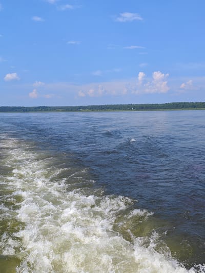 The image depicts a wide river with a treeline on the horizon, under a bright blue sky with scattered white clouds. In the foreground, turbulent white water churns, indicating the wake of a moving vessel. The river itself is a deep blue-green, with ripples and small waves visible. The treeline on the distant shore is dense and green, with subtle variations in color suggesting a mix of tree types. The sky is clear and expansive. The scene is devoid of any human figures or prominent man-made structures. The location is identified as Potapovo, Russia.
