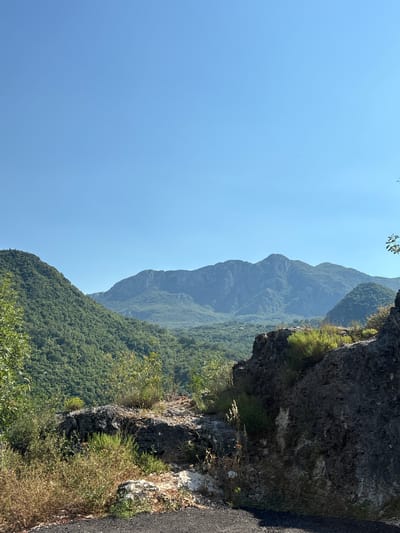 The media file is a vertically oriented, high-angle shot of a mountainous landscape under a clear, bright blue sky. The foreground is dominated by a steep, rocky cliff face on the right, with a dark asphalt road running along its edge. Sparse vegetation, including dry grasses and small green shrubs, clings to the rocky terrain.

Beyond the cliff, a vast expanse of densely forested mountains stretches into the distance. The mountains appear layered, with softer, hazy peaks visible further back, suggesting a considerable depth to the landscape. The forest cover is a rich green, indicating a healthy ecosystem. A small cluster of leaves from a tree branch is visible in the upper left corner of the frame.

The scene evokes a sense of natural grandeur and tranquility. The bright sunlight suggests it is daytime, likely late morning or early afternoon, with no visible clouds. The overall impression is one of a remote, natural setting, possibly a scenic overlook or a road winding through a mountainous region. No people, objects, or text are discernible in the image. The location is identified as Dupilo, Montenegro.