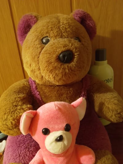 Two stuffed animals are positioned in front of a wooden background. The larger stuffed animal is a brown bear wearing a purple dress. It is situated behind a smaller pink pig. The pig is facing forward with its head tilted slightly to the right. A pale green bottle with a dark cap is visible behind the bear's right shoulder. The bottle has text on it that appears to read "otel". The image quality is slightly grainy, and the lighting suggests it was taken indoors. There is no indication of the location within the city of Arzamas, Russia.