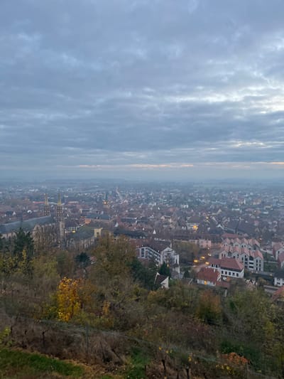 An elevated, wide-angle view captures the city of Obernai, France, under an overcast sky at either dawn or dusk. The upper portion of the frame is dominated by a dense, grey cloud layer, with a faint band of lighter, possibly amber-tinged sky visible at the distant horizon through atmospheric haze.

The midground and background depict a sprawling urban landscape of tightly packed buildings, characterized by numerous terracotta and dark-tiled roofs. Many structures exhibit illuminated interior lights and streetlights are visible throughout the city. A prominent gothic-style church, located in the mid-left, features two tall spires and is subtly illuminated. Other smaller steeples are discernible in the distance. The city extends into a hazy, indistinct background.

The immediate foreground consists of a sloping terrain covered in dense, autumnal vegetation, primarily trees and shrubs displaying yellow, orange, and brown foliage, alongside some bare branches. Evidence of cultivated rows, likely dormant grapevines, is present in the lower foreground, marked by support wires. No individuals are visible within the scene.