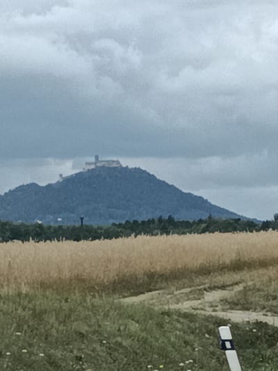 The image shows a broad view of a hilly landscape under a cloudy sky. In the distance, a castle or fortress is situated on top of a prominent hill. The hill is covered in dark green vegetation. In the foreground, there is a field of tall, dry grass or wheat, and beyond that, a patch of green grass with a few small white flowers and a white and black striped marker post. The scene appears to be in a rural or semi-rural area, and given the context of Bělá pod Bezdězem, Czechia, the castle is likely to be Bezděz Castle, a historical landmark in the region. There are no people or animals visible in the image.