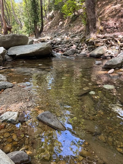 This is a ground-level shot of a shallow, clear stream flowing over a bed of rocks and pebbles in a wooded area. Large boulders are visible on the left bank, with smaller rocks and gravel forming the streambed. The water reflects the surrounding trees and sky. The stream appears to be in a natural, undeveloped setting. The image is likely taken in Maries, Greece, as suggested by the metadata. There are no people or animals visible in the image.