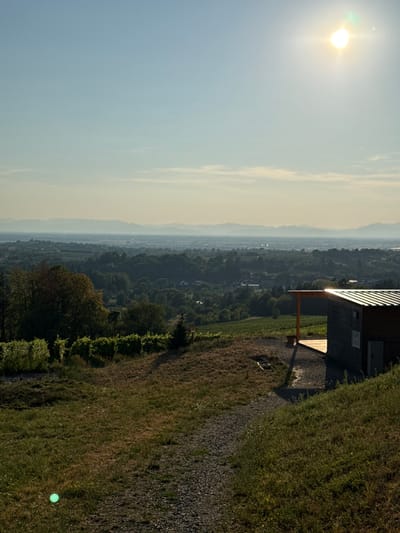 The image captures a panoramic view of the landscape surrounding Kippenheim, Germany, on a clear, sunny day. In the foreground, a grassy slope descends, with a gravel path winding its way down. To the right, a small wooden building with a covered porch and a metal roof stands on the elevated ground. Beyond the immediate foreground, rows of grapevines stretch across the landscape, indicating a vineyard.
Further in the distance, a lush green valley unfolds, dotted with trees and scattered buildings, suggesting a rural or semi-rural settlement. The horizon is marked by a series of hazy, blue-tinted mountain ranges, fading into the soft, pale blue sky. The sun, positioned in the upper right quadrant of the frame, casts a bright glare and a soft lens flare across the scene. The overall impression is one of a serene, sun-drenched rural setting.