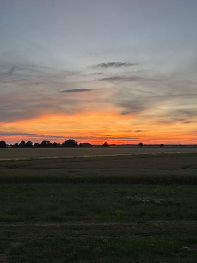 The image displays a landscape scene at dusk. The sky is filled with dramatic, colorful clouds streaked with orange, yellow, and pink hues, indicating a sunset. The left side of the image is dominated by the sky, with some lighter grey clouds near the top. To the right of the colorful sky is a row of silhouetted trees, forming a distinct line against the vibrant sunset. Beyond the trees, a field of grass extends to the right edge of the image, appearing dark and lush green. The field seems to have some texture, possibly from rows or natural growth patterns. The overall scene suggests an open, rural setting. The time of day is clearly sunset, and the weather appears clear with dramatic cloud formations. There are no visible people or objects apart from the natural elements of the landscape and sky. The atmosphere conveyed is one of natural beauty and tranquility, with the vibrant sunset being the focal point. The location context provided is Kemberg, Germany, suggesting this is likely a rural or agricultural area.