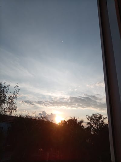 The image shows a sunset viewed through a window frame on the right side of the frame. The sky is a pale blue with wispy white clouds and darker, more defined clouds near the horizon. The sun, a bright orange ball, is setting behind a silhouetted line of trees and buildings. The trees are dark and appear to be deciduous, with some bare branches visible. The buildings are dark and appear to be low-rise structures. The overall impression is one of a peaceful evening scene. The location is not specified in the image.