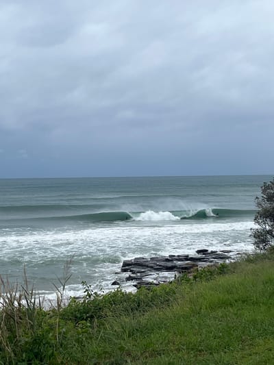 The image presents a coastal scene at Wombarra, Australia, under an overcast sky composed of light to dark grey clouds. The horizon line is visible where the ocean meets the sky. The expansive ocean, colored dark green-blue, exhibits multiple breaking waves. In the mid-ground, a significant wave forms a distinct barrel, within which a single individual is observed surfing. The surfer is wearing a dark wetsuit and is positioned on a white surfboard. The immediate shoreline features dark, stratified rock formations, partially submerged by the incoming waves. The foreground consists of lush green grass, interspersed with taller, dry reeds on the left. Dense green bushes with small pinkish-white flowers are also present in the foreground. A dark green tree or large shrub partially frames the right edge of the scene.