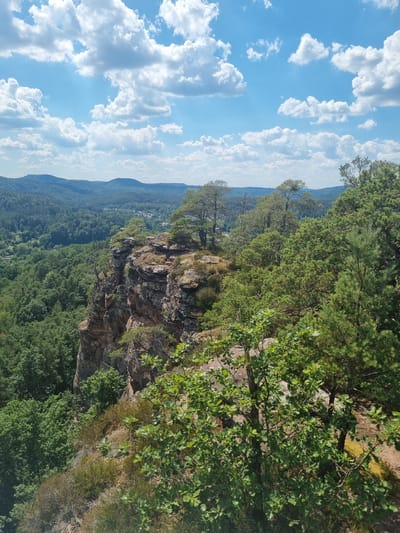 This media file captures a scenic view of a forested valley and a cliff face. The scene is dominated by lush green trees covering rolling hills that recede into the distance. A rocky cliff face juts out on the right side of the frame, with vegetation growing from its crevices. The sky above is a vibrant blue, dotted with fluffy white clouds. The image is oriented vertically, suggesting it was taken from a high vantage point, looking down and across the landscape. The overall impression is one of natural beauty and tranquility. The bright sky and the abundant greenery suggest it is a sunny day, likely in the late morning or afternoon. The location cues, particularly the forested hills and rocky outcrops, are characteristic of natural parkland. There is no visible text in the image.