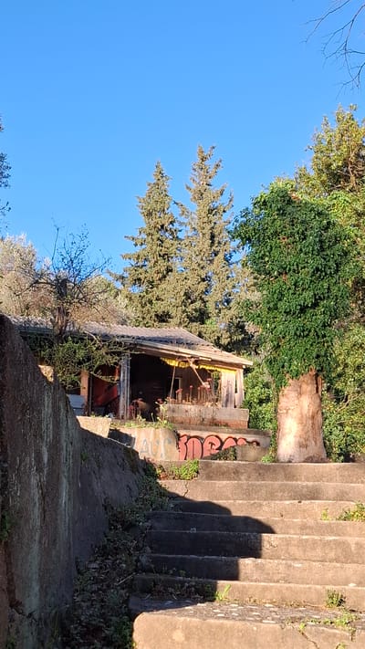 The image depicts a dilapidated, overgrown building in Podbadac, Montenegro. The building is partially obscured by trees and vines, and has graffiti on the exterior walls. Next to the building is a concrete staircase, with visible signs of wear and vegetation growing between the steps. The sky is clear and blue, providing high contrast to the dark building and stairs. There are no people visible in the scene. The scene appears neglected and forgotten, suggesting a location outside of the active, well-maintained parts of the city.
