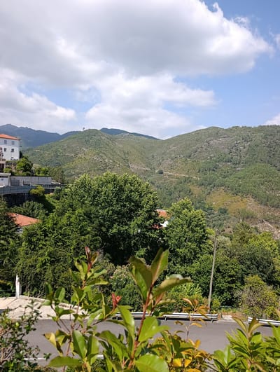 This is a landscape photograph taken in Terras de Bouro, Portugal, on a sunny day with scattered clouds. The foreground features blurred green foliage and branches of a plant. Beyond the foliage, a paved road runs horizontally across the lower part of the image, bordered by a white guardrail.
In the midground, a cluster of dense green trees dominates the scene. To the left, a multi-story white building with a red-tiled roof is visible, situated on a sloped terrain. A parking sign with a "P" is present near the building. A grey concrete wall with a fence runs along the front of the property.
The background is characterized by rolling green hills and mountains covered in dense vegetation and scattered rocks. A winding dirt path can be seen traversing one of the hills. The sky above is a mix of blue sky and white clouds. The overall impression is of a rural or semi-rural setting in a mountainous region.