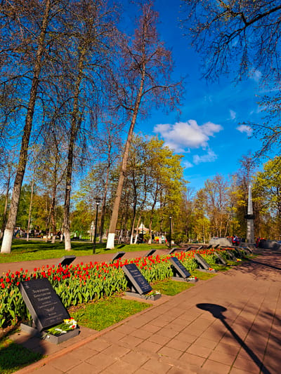 The image depicts a memorial site in Uglich, Russia, with a paved pathway leading towards a monument. Along the path are rows of tulips in full bloom, interspersed with dark, slate-like memorial plaques. Each plaque appears to bear inscriptions in a Cyrillic script and some are adorned with small bouquets of flowers. The background features a park-like setting with various trees, some still bare of leaves and others showing spring foliage. A few lampposts are visible, and their shadows stretch across the path. In the distance, a playground is visible. The sky is blue with scattered clouds, suggesting a sunny day.