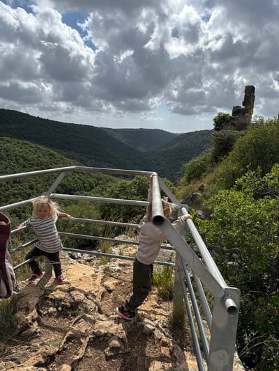 A rotated medium shot depicts two children in Maale Yosef Regional Council, Israel. A younger child with blonde hair wears a striped shirt and dark pants and hangs onto a metal railing, while an older child in khaki pants and a light-colored sweater is also holding onto the railing. The children are situated on a rocky terrain overlooking a valley with dense vegetation and mountains in the distance. A cloudy sky is visible above. A stone structure is on the edge of the cliff.
