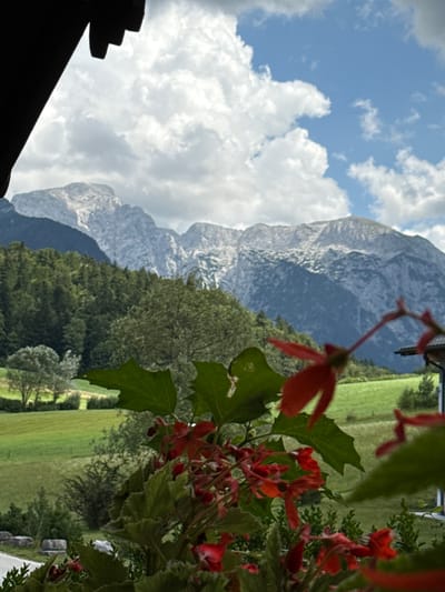 The image captures a scenic view from a covered porch overlooking a mountainous landscape. In the foreground, red flowers and green leaves are prominently displayed, some of which are out of focus. Beyond the flowers, a lush green valley stretches out, dotted with trees. Further in the distance, a majestic mountain range with rocky, snow-dusted peaks dominates the horizon, under a sky filled with scattered white clouds. The overall impression is one of natural beauty and tranquility, suggesting a location in a rural or alpine setting, likely Bischofswiesen, Germany, known for its picturesque mountainous terrain. There are no people or specific actions depicted in the image.