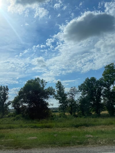 This media file shows a rural landscape in Moskovskoe, Russia, under a cloudy sky. The scene is dominated by a wide expanse of blue sky filled with numerous wispy white clouds, interspersed with larger, darker grey clouds. A bright sunbeam cuts across the lower left portion of the sky. Along the right side of the frame, a line of mature trees with dense green foliage lines the edge of a grassy field. The field itself is a mix of green and dry grass, suggesting a late summer or early autumn setting. A dirt or gravel road is visible along the far right edge of the image. The overall impression is one of a natural, open landscape, possibly on a partly cloudy day. There are no people or explicit objects visible in the scene, and no text is present. The orientation of the image suggests it was taken vertically. The time of day appears to be daytime, given the brightness of the sunbeam and the overall illumination.