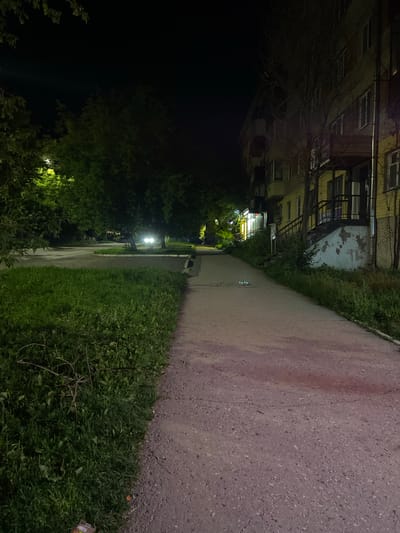 The image depicts an outdoor scene at night in a residential area of Beloretsk, Russia. A paved walkway runs alongside a grassy area on the left and a multi-story building on the right. The building appears to be an apartment block with multiple windows and balconies. Trees and foliage are visible, some illuminated by streetlights. In the distance, car headlights are visible on what appears to be a street. The overall atmosphere is dimly lit, characteristic of a night scene in a city. There are no people or animals clearly identifiable in the image. A few small, indistinct objects are present on the walkway in the mid-ground.