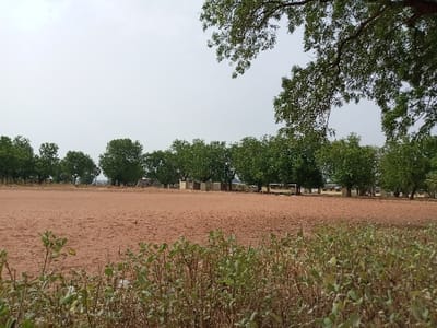 The image shows a large, open, dirt field in Rumde Waziri, Nigeria. The field is mostly barren, with a few small plants and shrubs scattered across its surface. In the background, there is a row of trees lining the perimeter of the field. There are a few small buildings visible in the distance, some of which appear to be in a state of disrepair. The sky is a light blue and hazy, and there is no evidence of any people or animals in the scene. The coordinates are 9.187 latitude, 12.525 longitude.
