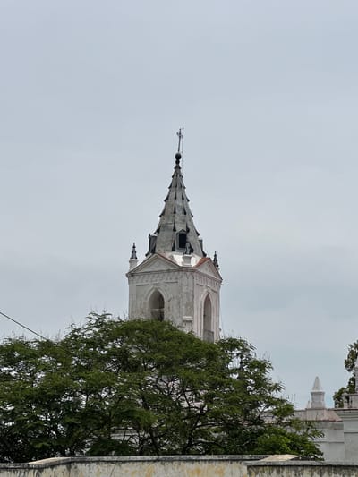 This is a medium shot photograph of the bell tower of the Church of San Agustín in San Agustín Etla, Oaxaca, Mexico. The tower is white with a gray, pointed roof and a cross at the very top. The sky is overcast and gray. In the foreground, there is a large green tree with feathery leaves, obscuring part of the church building. A stone wall is visible in the bottom of the frame. The image is static and there are no people present.