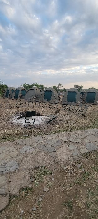This image depicts an organized tented campsite located in Seronera, Tanzania, under an overcast sky with scattered grey and white clouds. The foreground features an irregular pathway constructed from flat, grey stone pavers, transitioning into dry, dusty ground with sparse green and withered vegetation. Approximately ten olive-green dome tents, each equipped with a darker green entrance flap, are arranged in a curved line across the mid-ground. Numerous foldable, dark-colored camping chairs are positioned in front of the tents. A central fire pit, containing ash and several unburnt logs, is visible in the mid-ground, with two camping chairs placed directly facing it. The background shows a line of green bush and tree foliage along the horizon. No individuals are present within the frame.