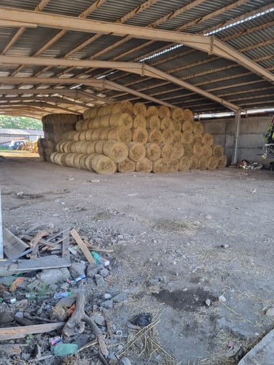 The image depicts the interior of an agricultural structure, possibly a barn or shed, located in the city of Ovcharovo, Bulgaria. A large, stacked pile of round hay bales dominates the center and right side of the frame. The bales are golden-brown and appear to be tightly packed, forming a pyramidal structure against a concrete wall. To the left of the hay bales, a smaller stack of rectangular bales is visible. The floor of the structure is uneven and covered with dirt, gravel, and scattered debris, including pieces of wood, plastic bottles, and other refuse. In the background, visible through the open sides of the structure, are some trees and what appears to be farm machinery, including a blue tractor. The roof of the structure is made of corrugated metal sheeting supported by metal beams, some of which show signs of rust. The overall impression is one of a working agricultural facility.