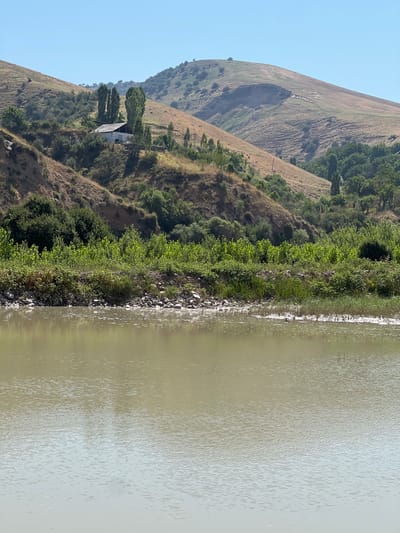 The image depicts a serene, natural landscape with a calm body of water in the foreground. The water's surface is slightly rippled, reflecting the soft light of a clear, blue sky. The bank of the water is lined with stones and a variety of green vegetation, including tall grasses and leafy bushes. Beyond the bank, the terrain rises into rolling hills covered in dry grass and scattered trees, with a small white building nestled on one of the slopes. The distant hills are barren and show signs of erosion, creating a rugged texture across the landscape. The scene suggests a rural or semi-rural environment, likely within the city of Karamazar, Uzbekistan, given its characteristic hilly terrain and clear skies.