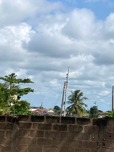 The scene is an outdoor shot taken in Sabo, Nigeria. The sky is partly cloudy with a mix of white and grey clouds against a blue backdrop. Overhead power lines are visible, supported by wooden poles. A palm tree stands adjacent to the power lines. Dense green foliage is present, partially obscuring a brick wall in the foreground. In the background, rooftops of buildings can be seen. The image is oriented vertically.