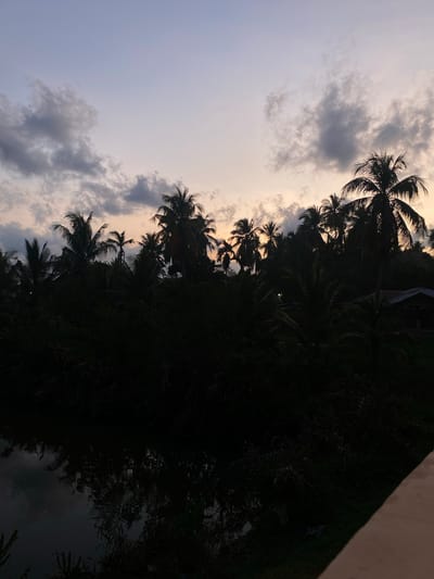 The image captures a twilight or sunset scene in Keudeublang, Indonesia. The sky displays a mix of grey clouds and patches of light, suggesting the sun is setting or has already set. Silhouetted palm trees line the horizon, their distinctive shapes defining the tropical location. Dense vegetation occupies the lower part of the frame, appearing dark and obscuring details. A glimpse of water can be seen in the foreground, possibly a river or pond. The overall scene is one of natural landscape during a low-light period.