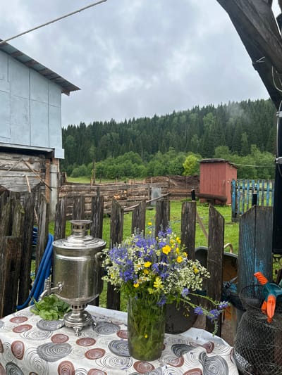 This is a photograph taken in Urshady, Russia, on an overcast day. The foreground features a table covered with a circular patterned tablecloth. On the table sits a silver samovar, a glass vase filled with a bouquet of blue, yellow, and white wildflowers, and some green leaves.
Behind the table, a rustic wooden fence encloses a grassy yard. In the yard, a red outhouse stands to the right, and a pile of logs and a wheelbarrow are visible. Beyond the yard, a dense forest of evergreen trees covers a hillside, meeting a cloudy sky. To the left of the frame, a pale blue building with a corrugated metal roof is partially visible. The overall impression is one of a rural, possibly remote, setting in Russia.