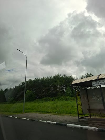 The image shows a bus stop in Lesnye Morkvashi, Russia, on an overcast day. A bus stop shelter with a bench is visible on the right side of the frame. A sign above the shelter reads "ЛЕСНЫЕ МОРКВАШИ" in Russian, identifying the location. A street light stands tall on the left side of the road. In the background, a dense line of evergreen trees forms a forest, with a grassy slope leading up to it. The road in the foreground is paved and has a white and black curb. The sky is filled with heavy, grey clouds, suggesting impending rain or a generally gloomy atmosphere. No people are present in the image.