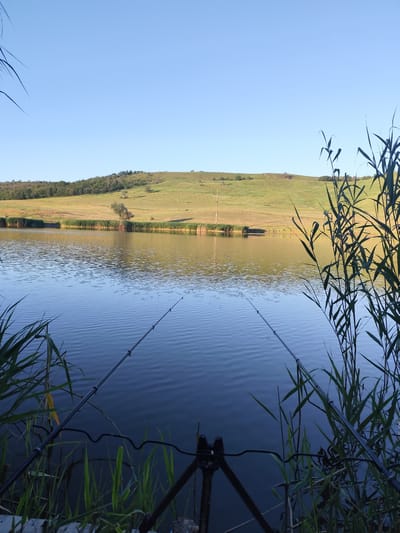 The image depicts a calm lake scene with two fishing rods set up on a tripod on the shore. Tall reeds and grass are visible along the foreground, framing the water. The lake reflects the clear blue sky and a distant, gently sloping grassy hill dotted with trees. The lighting suggests it is either early morning or late afternoon. The location is identified as Sărata-Galbenă, Moldova. There are no people or animals visible in the image.
