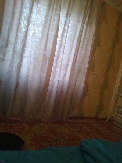 The image depicts an indoor scene, likely a bedroom or living area, in Выползово, Russia. The primary focus is on a large, sheer white curtain with an intricate floral pattern, which is partially obscuring the background. The curtain appears to be made of a lightweight, possibly lace-like material, and is illuminated by light filtering through it, creating a soft, diffused glow.

To the right of the white curtain, a section of wallpaper is visible. It has a muted yellow-green hue and is adorned with a repeating floral design in a slightly darker shade. A thin, pinkish trim runs along the edge where the curtain meets the wallpaper.

The lower portion of the image reveals a patterned rug spread across a wooden floor. The rug features a complex design with swirls and floral motifs in shades of red, orange, yellow, and brown. In the foreground, a dark object, possibly a bag, is resting on the rug, and a teal-colored piece of fabric, likely bedding or a throw, is draped in front of it. A white metal structure, possibly a drying rack or part of a piece of furniture, is partially visible in the far right background.

The lighting suggests it might be daytime, with natural light coming through the curtain. There are no people visible in the image, and no specific activity is apparent. The overall impression is one of a cozy, lived-in domestic space. No text is visible in the image.