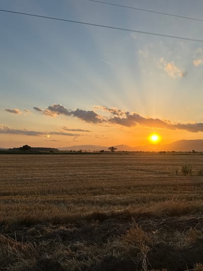 This is a vertical, full-frame, medium shot of a harvested field at sunset, with the sun low in the sky above a distant mountain range. The sky is a gradient of pale blue at the top, transitioning to a warm orange and yellow near the horizon. Rays of sunlight emanate from the sun, creating a dramatic effect. There are scattered clouds, some tinged with orange and pink from the sunset. Two parallel dark lines, presumably power lines, stretch across the upper portion of the frame.
The foreground and midground are dominated by a field of stubble, consisting of dry, golden stalks of cut grain. The texture of the stubble is clearly visible, with some areas appearing darker and more densely packed. In the distance, a treeline is visible, with a solitary, dark tree standing out. Beyond the treeline, the mountain range forms a silhouetted backdrop. A bright, circular sun is positioned just above the horizon, slightly to the right of center. A faint contrail from an airplane is visible in the upper left quadrant of the sky. The scene appears to be in a rural area, likely the outskirts of Blatets, Bulgaria. There are no people or animals visible in the image, nor any discernable actions or interactions taking place. The overall impression is one of a serene, rural landscape at the end of the day.