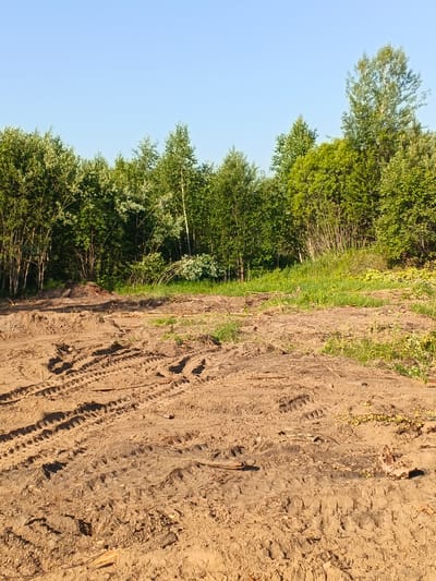 This is a medium-shot, eye-level, vertical photograph of a cleared patch of land in Strelka, Russia. The foreground is dominated by freshly disturbed, sandy soil marked with distinct tire tracks from heavy machinery. Scattered debris, including twigs and dried vegetation, are visible on the ground. In the mid-ground, a slightly elevated area of dirt is present, with sparse green grass and more debris. The background features a dense line of deciduous trees with vibrant green foliage, suggesting a forest edge or a natural reserve. The sky above is a clear, pale blue, indicating fair weather. There are no people or animals visible in the image, and no actions or interactions are depicted. The scene suggests recent land clearing or preparation for construction or agricultural use.