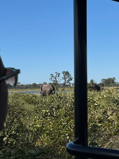 The image shows a partial view from a vehicle, possibly a safari vehicle, in Khwai, Botswana. The foreground includes part of the vehicle's structure and partially visible sunglasses. The background consists of a landscape with green vegetation and trees. Two elephants are observed amidst the foliage. A body of water is visible in the distance. The sky is clear and blue.