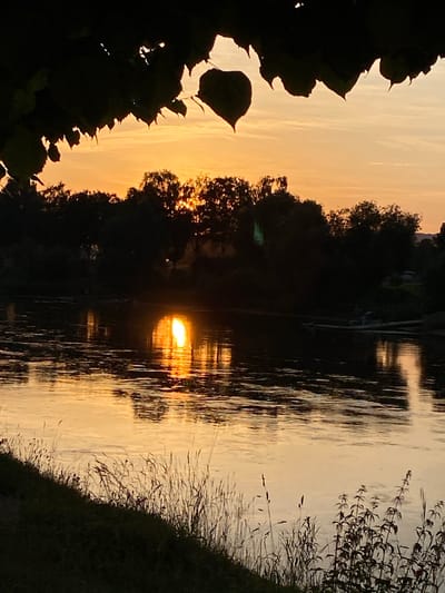 This is a vertical, landscape photograph captured at sunset. The scene depicts a body of water, likely a river, with its surface reflecting the warm, orange hues of the setting sun. Silhouetted trees line the far bank of the water, obscuring any details of the land behind them. In the foreground on the left, dark, leafy branches overhang the scene, framing the view of the sky and water. On the right, tall grasses and foliage create a dark, textured edge against the water. The overall atmosphere is serene and tranquil, characteristic of a peaceful evening. The time of day is clearly indicated by the golden light and reflections. The location is identified as Rinteln, Germany. No people, objects, or visible text are present in the image.