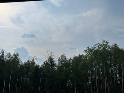 The image depicts a natural scene dominated by a forest line against a cloudy sky. The foreground is filled with the dense canopy of various trees, including birch trees with their distinctive white bark and other deciduous and coniferous trees. The trees are lush and green, suggesting a summer or late spring setting. Some bare branches of a dead tree are visible, breaking the uniformity of the foliage. In the background, the sky is a mix of light and dark clouds, with patches of brighter sky indicating sunlight filtering through. The overall mood is serene and natural.
The scene appears to be taken outdoors, possibly from a car or a viewpoint overlooking a forest. The time of day is likely late afternoon or early evening, given the lighting conditions and the presence of clouds. There are no people or specific objects clearly visible in the image, with the exception of what might be a street light among the trees on the right side and a signpost at the bottom left corner. The location is specified as Kobyłka, Poland. The weather appears to be partly cloudy, with a gentle breeze suggested by the way some of the lighter tree leaves are positioned.