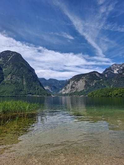 A serene landscape photo depicts a clear, calm lake with a pebbled bottom visible in the foreground. Tall reeds line the left bank, their reflections shimmering on the water's surface. In the background, a dense green forest blankets the slopes of majestic mountains, which rise steeply on either side of the lake. A small village is nestled along the far shore, with houses dotting the landscape. The sky above is a vibrant blue, streaked with wispy white clouds. This scene is characteristic of the natural beauty found in Obertraun, Austria, particularly along the shores of Lake Hallstatt.
