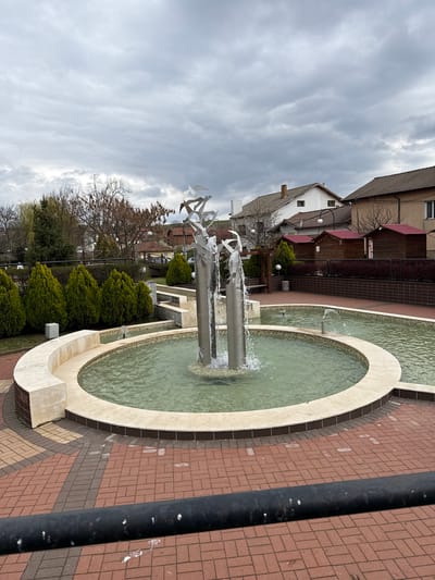 The image displays an outdoor scene in Chavdar, Bulgaria, centered around a decorative fountain under a cloudy sky.
In the foreground and midground, a prominent fountain features light-colored, possibly cream-colored, stone edges that delineate a large circular pool and an adjacent, smaller angular pool. The water within the fountain is a clear, light green or turquoise hue. Rising from the center of the circular pool is a modern, abstract metal sculpture, possibly depicting stylized birds or geometric shapes, with water actively splashing from multiple jets around it. The ground surrounding the fountain is paved with reddish-brown bricks, laid in an intricate pattern that includes darker brick borders defining the fountain's shape. A dark, vertical pole is visible on the far right side of the frame.
Behind the fountain, a neatly trimmed line of vibrant green, conical bushes acts as a verdant barrier. Beyond these bushes, a collection of buildings forms the background. On the left, a white house with a brown tiled gabled roof and a visible brick chimney stands out, featuring small, dark windows. To its right, several structures with wooden cladding and reddish-brown tiled roofs are visible, suggesting commercial establishments or guesthouses. Sparse, bare deciduous trees and some evergreen foliage are scattered amongst the buildings and the bushes.
The sky above is completely overcast with soft, grey clouds, indicating a daytime setting with diffused natural light, likely on a cool or mild day. On one of the wooden-clad buildings in the background, the Cyrillic text "УЮТ" is visible, which translates to "comfort," providing a specific location cue consistent with Bulgaria. The scene conveys a tranquil atmosphere, typical of a well-maintained public space on an overcast day.