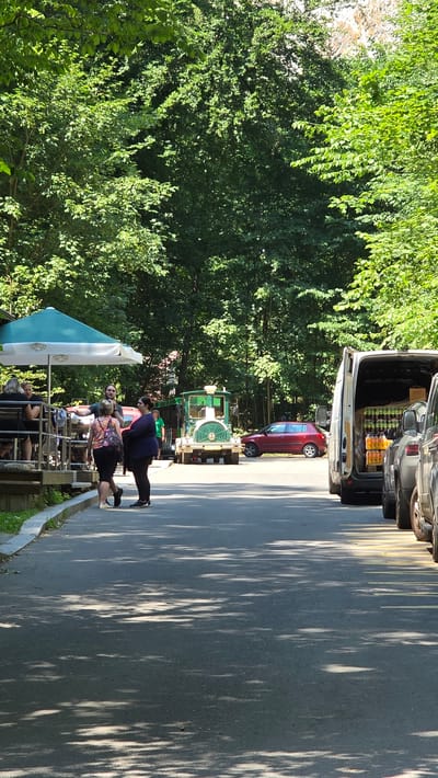 In Vavřinec, Czechia, a sunny day is captured with dappled sunlight illuminating an asphalt path lined with lush green trees. The scene appears to be a park or recreational area, possibly near a tourist attraction, given the presence of a miniature train with green carriages.
Several people are visible, some standing and interacting, while others are seated. In the foreground, a group is gathered, with two individuals in the middle seemingly engaged in a conversation or perhaps a lighthearted activity. One person is leaning on a railing, while another is standing nearby. Further back, more people are seated at tables under a large, green and white striped umbrella.
Beyond the people and the train, a red car is parked on the side of the road, and a silver van is partially visible, its rear doors open, revealing a load of bottled drinks. The overall atmosphere suggests a relaxed, outdoor gathering on a pleasant day. The time of day is likely afternoon, judging by the angle of the sun and the long shadows cast on the path. The abundant foliage indicates a warm season, likely summer or late spring. No discernible text is visible in the image.