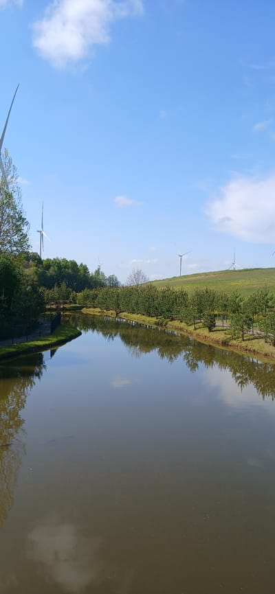 The image shows a landscape in Butkiškė, Lithuania, featuring a body of water (likely a pond or lake) reflecting the sky and adjacent scenery. The sky is blue with scattered white clouds. Along the edge of the water are trees and grassy areas. Several wind turbines are visible in the background, situated in a field. A small structure or building is present near the water's edge, surrounded by greenery.