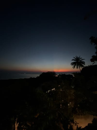 The image depicts a dark tropical scene with a twilight sky over the ocean. A silhouette of a palm tree stands prominently on the right side of the frame, against a sky transitioning from deep blue at the top to hues of orange and red near the horizon. The ocean is visible in the distance, with faint lights scattered across it, suggesting a coastal town or boats. The foreground is filled with the dark silhouettes of lush vegetation, including trees and bushes, obscuring much of the ground. The overall impression is of a serene, dimly lit evening by the sea in a tropical location like Karimunjawa, Indonesia.