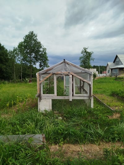 An overcast, cloudy day is depicted in an outdoor rural scene, likely in the Баравухскі сельскі Савет, Belarus. In the foreground, tall green grass and weeds surround a makeshift greenhouse constructed from repurposed window frames and covered with plastic sheeting. The greenhouse appears old and in a state of disrepair, with open windows and visible wooden supports. To the right of the greenhouse, a raised garden bed is visible, also overgrown with weeds. In the background, several trees form a dense treeline, and a few residential buildings with pitched roofs are present. The overall impression is one of a somewhat neglected but functional rural property.