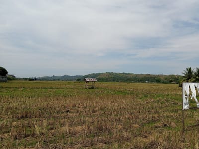 The image depicts a rural landscape in Meunasahteungkudigadong, Indonesia, following a harvest. A wide expanse of a harvested field, characterized by stubble and dry grass, dominates the foreground. In the middle ground, a small, rustic hut with a corrugated metal roof stands in the center of the field, likely serving as a shelter for farmers. The background features rolling hills covered in green vegetation and scattered buildings, suggesting a sparsely populated area. The sky is overcast with scattered clouds. On the right side of the foreground, a wooden post with a torn sign displaying the numbers "085" is visible. The overall scene conveys a sense of tranquility and the completion of agricultural activity.