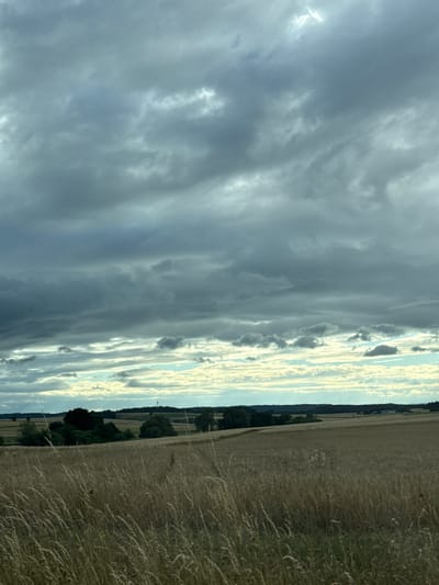 This is a landscape photograph taken in Oberwetz, Germany, depicting a dramatic sky over a field of dry grass. The image is oriented vertically.
The sky is filled with a complex pattern of clouds. On the left side, the clouds are dense and gray, suggesting an overcast or approaching storm. As the sky extends to the right, the clouds become more scattered and illuminated by sunlight, creating streaks of bright white and pale yellow against a backdrop of blue. These lighter clouds are elongated and appear to be moving in parallel formations, possibly indicative of wind currents.
The foreground and right side of the image are dominated by a field of tall, dry grass, golden brown in color, suggesting late summer or autumn. The grass is dense and appears somewhat wispy, with individual blades visible in sharp focus. The field stretches into the distance, meeting a dark line of trees that forms the horizon. Beyond the trees, hints of rolling hills or further fields can be seen.
The time of day appears to be late afternoon or early evening, given the angled sunlight and the warm tones in the grass and the illuminated clouds. The weather seems transitional, with the possibility of rain indicated by the darker clouds, contrasted with areas of bright sunshine. There are no people or man-made objects prominently featured, emphasizing the natural landscape. The overall mood is one of natural grandeur and the dynamic interplay of light and shadow. There is no visible text in the image.